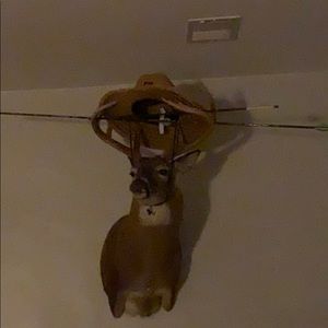 Meet your Posher, Spencer